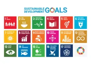 E-SDG-Poster-2019_without-UN-emblem_WEB-300x212.png